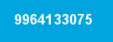 9964133075