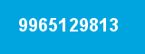 9965129813 9965129813