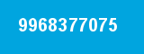 9968377075 9968377075