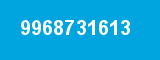 9968731613 9968731613