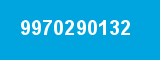 9970290132