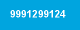 9991299124