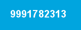 9991782313 9991782313