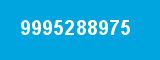 9995288975 9995288975