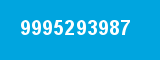 9995293987