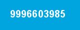 9996603985 9996603985