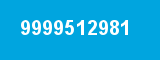 9999512981